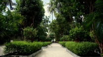 Landscaping of Embudhu Village Resort, Maldives.